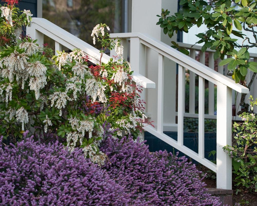 Country Willows Inn (Adults Only) Ashland Exterior photo